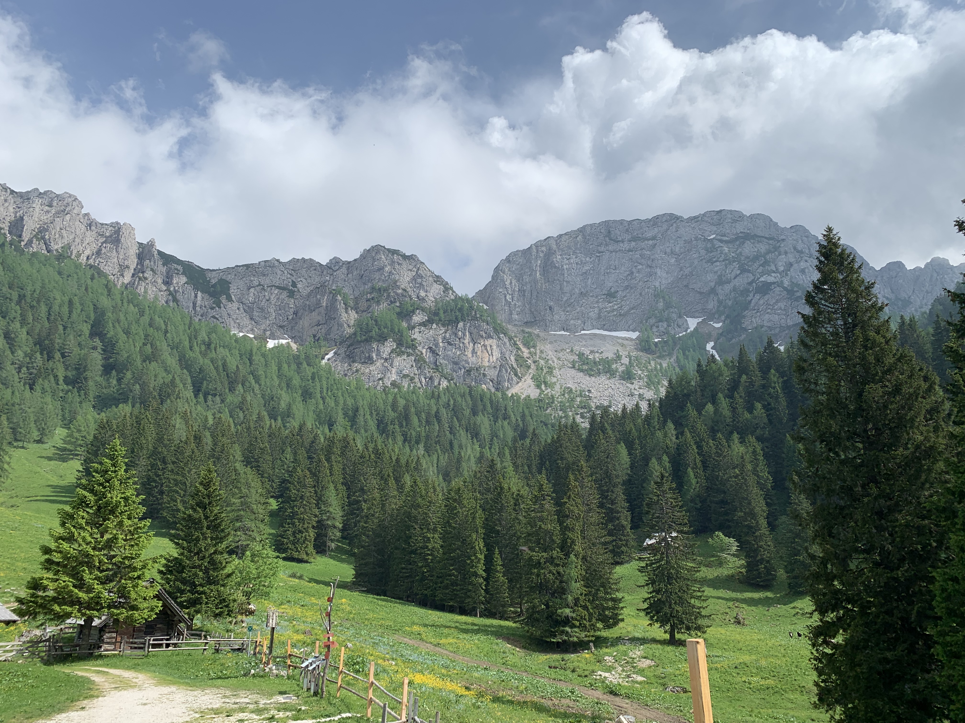 Občni zbor alpinističnega odseka